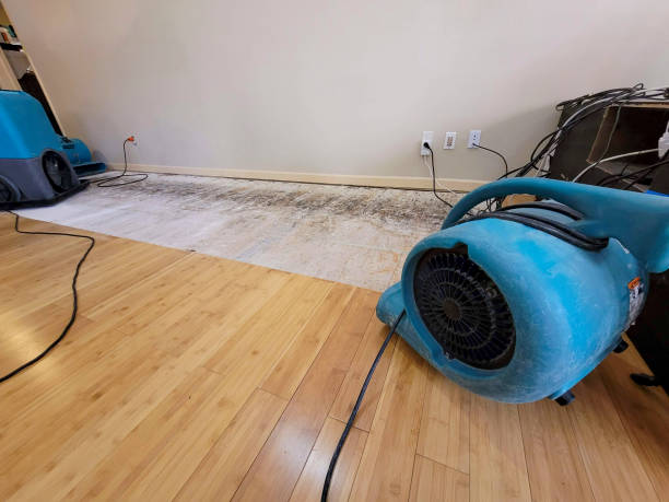 Professional Sewage Cleanup technician working in Pigeon Falls, WI